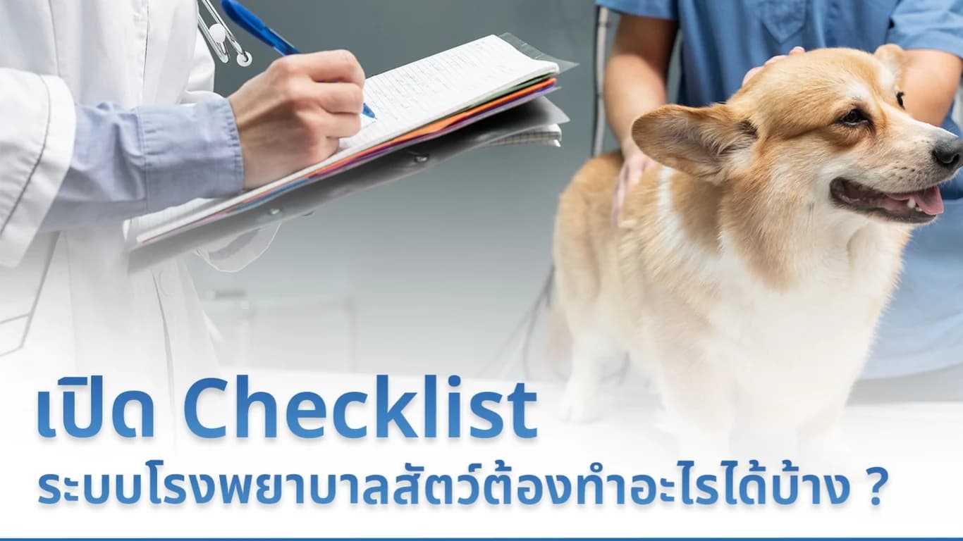 เปิด Checklist ระบบโรงพยาบาลสัตว์ต้องทำอะไรได้บ้าง ?