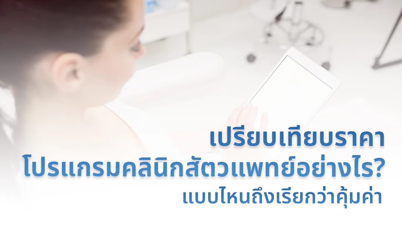 เปรียบเทียบราคาโปรแกรมคลินิกสัตวแพทย์อย่างไร? แบบไหนถึงเรียกว่าคุ้มค่า