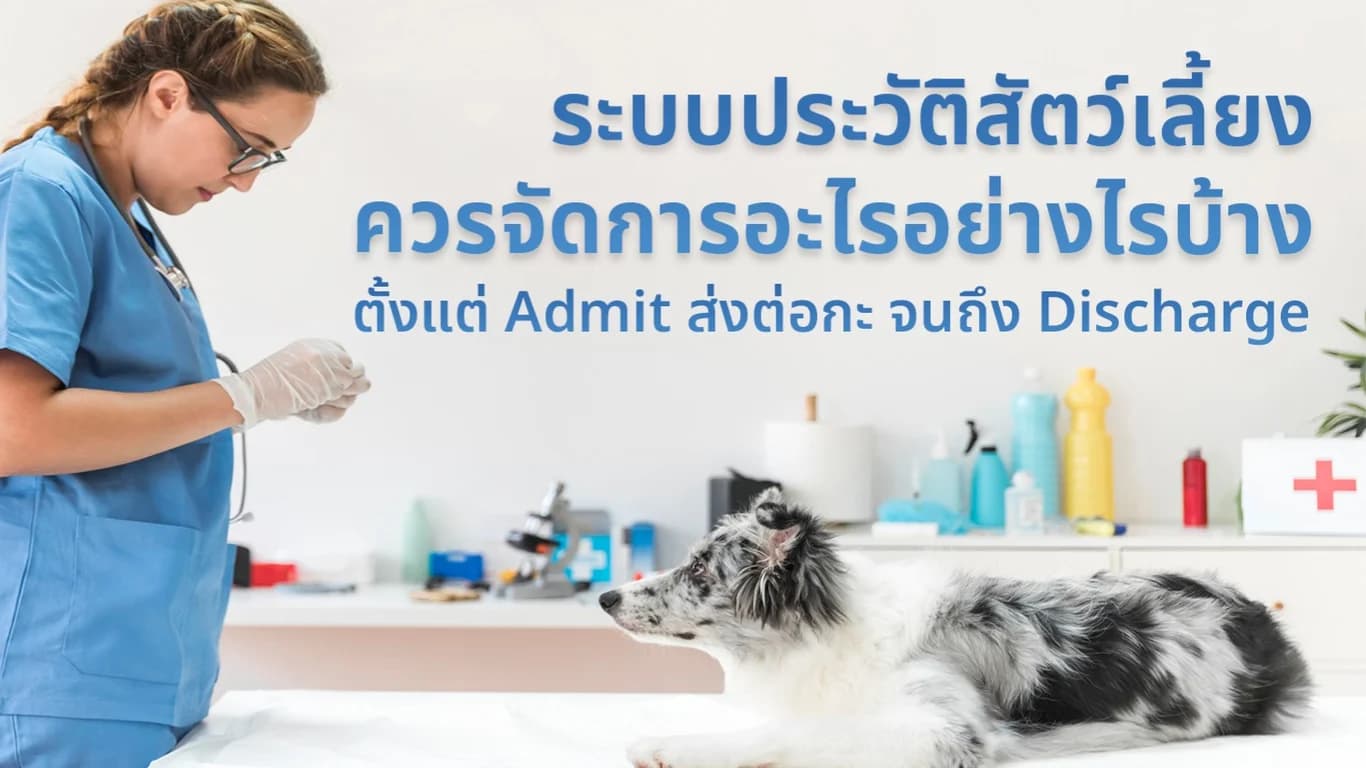 ระบบประวัติสัตว์เลี้ยงควรจัดการอะไรอย่างไรบ้าง ตั้งแต่ Admit ส่งต่อกะ จนถึง Discharge