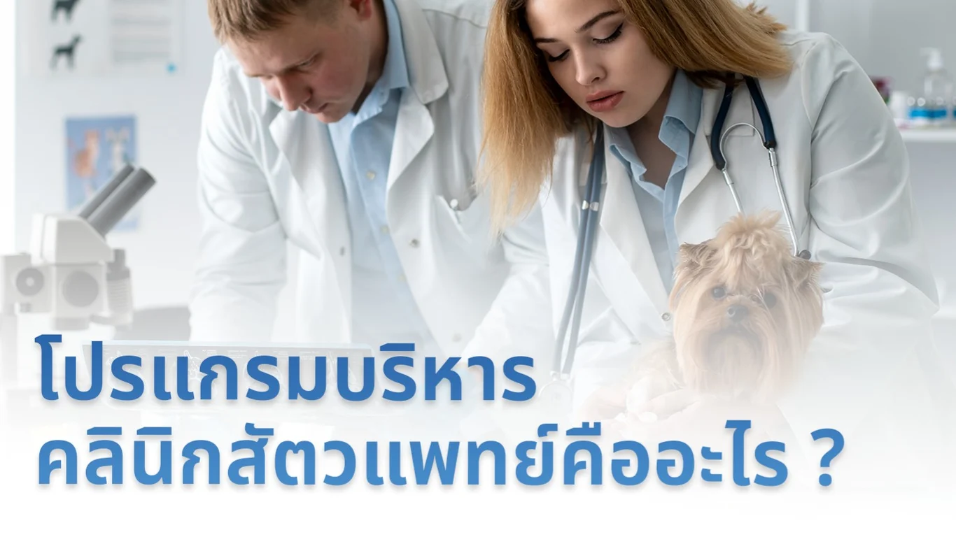 โปรแกรมบริหารคลินิกสัตวแพทย์คืออะไร ?